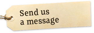 clickalgo contact us now