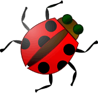 E.V.A.T.A Software Bugs